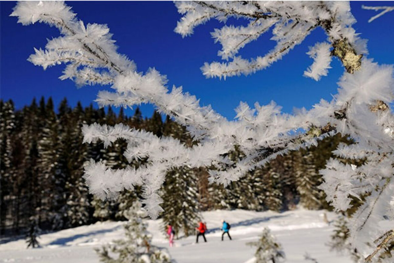 5_Hemmersuppenalm-Schneeschuh